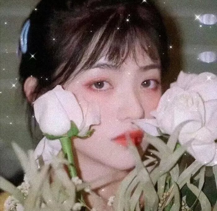 怪兽与牠们的产地
